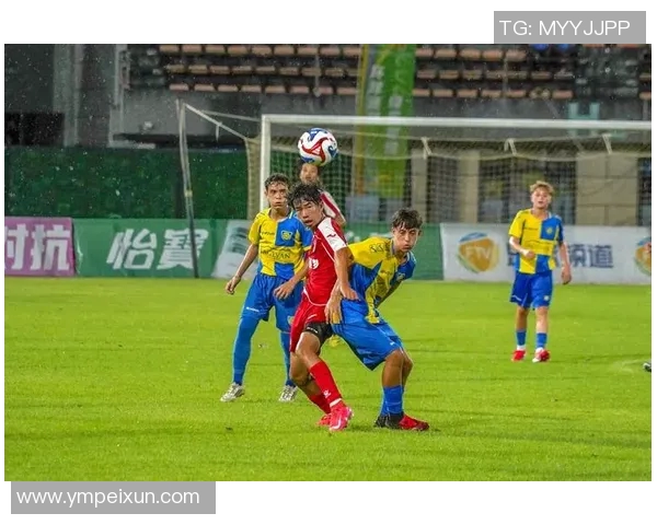 武汉足球队表现卓越最新足球比赛经验TOP10全面解析